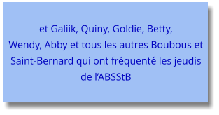 et Galiik, Quiny, Goldie, Betty, Wendy, Abby et tous les autres Boubous et Saint-Bernard qui ont fréquenté les jeudis de l’ABSStB