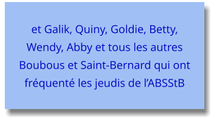 et Galik, Quiny, Goldie, Betty, Wendy, Abby et tous les autres Boubous et Saint-Bernard qui ont fréquenté les jeudis de l’ABSStB