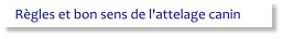 Règles et bon sens de l'attelage canin