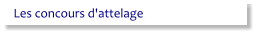 Les concours d'attelage