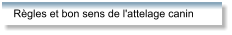 Règles et bon sens de l'attelage canin