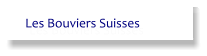 Les Bouviers Suisses