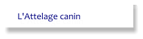 L'Attelage canin