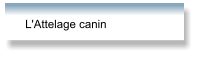 L'Attelage canin