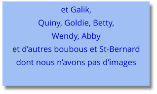 et Galik,Quiny, Goldie, Betty, Wendy, Abby et d’autres boubous et St-Bernard dont nous n’avons pas d’images